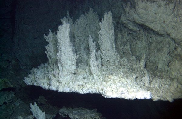 File:Lost City (hydrothermal field)02.jpg