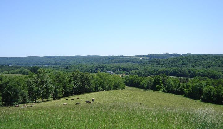 File:Mohican State Forest.jpg