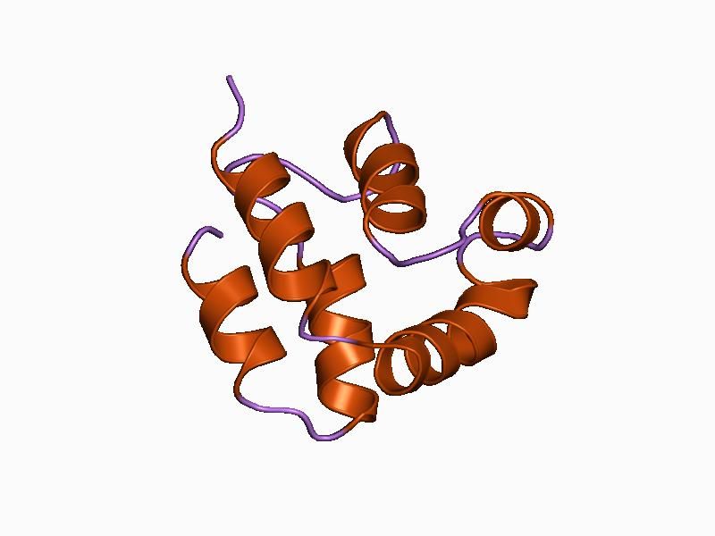 File:PDB 1a1w EBI.jpg