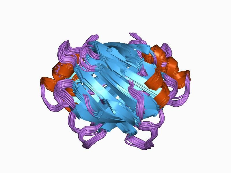 File:PDB 1bm5 EBI.jpg