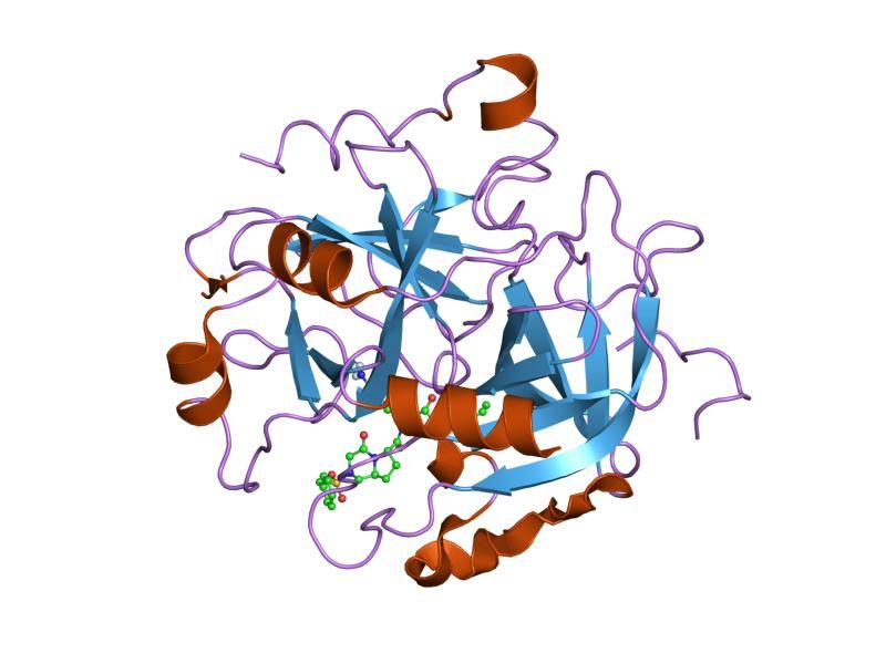 File:PDB 1g37 EBI.jpg