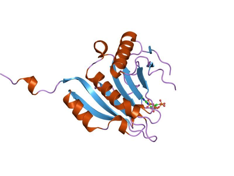 File:PDB 1ipc EBI.jpg