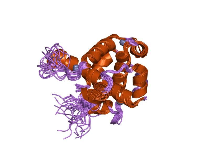 File:PDB 1l8c EBI.jpg