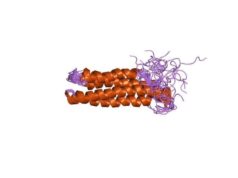 File:PDB 1pv3 EBI.jpg