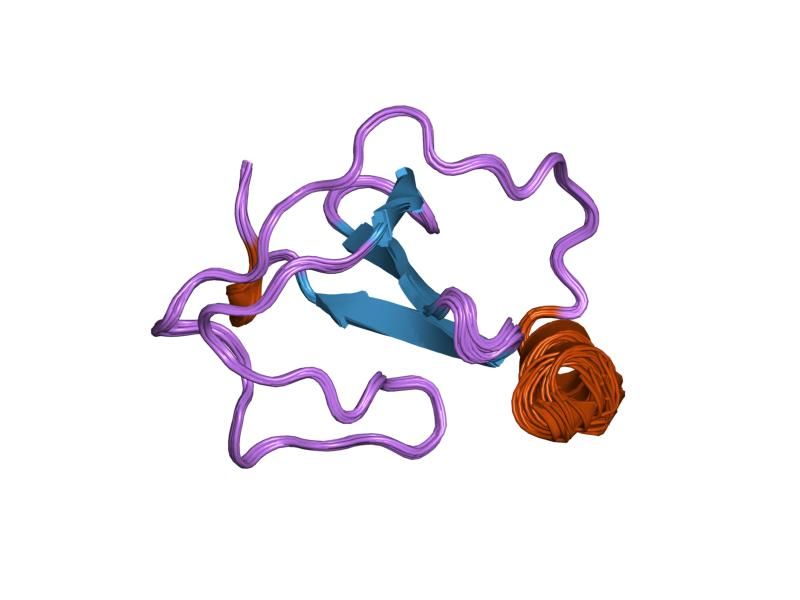 File:PDB 1ri9 EBI.jpg