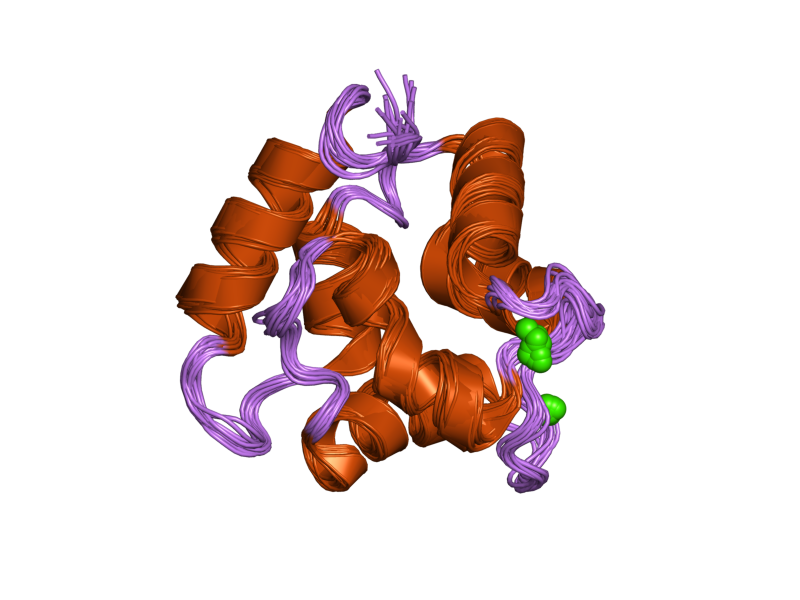 File:PDB 1ttx EBI.png