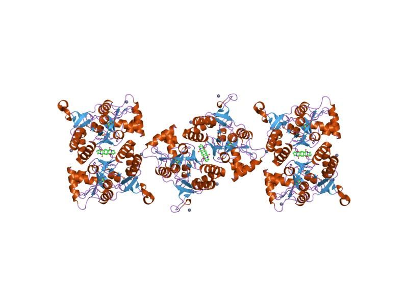 File:PDB 2al4 EBI.jpg