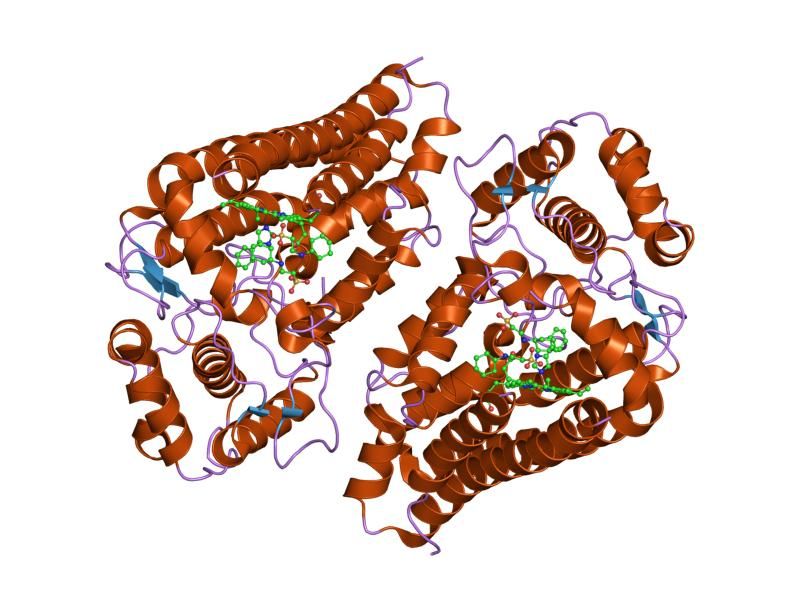 File:PDB 2d0t EBI.jpg