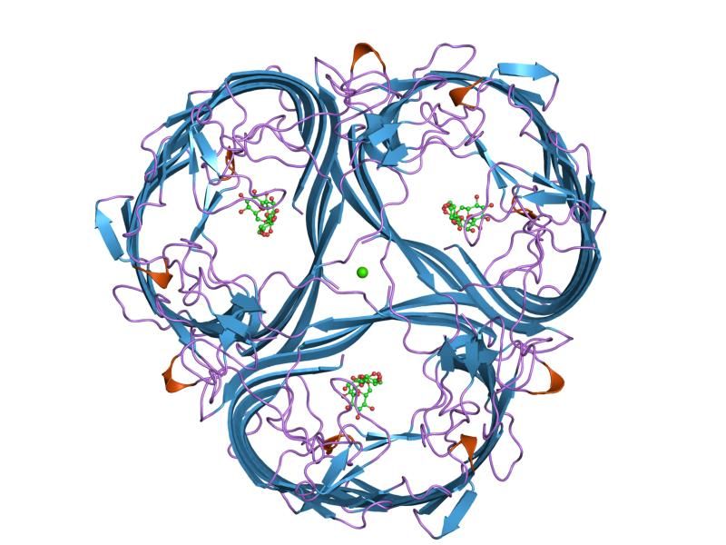 File:PDB 2mpr EBI.jpg