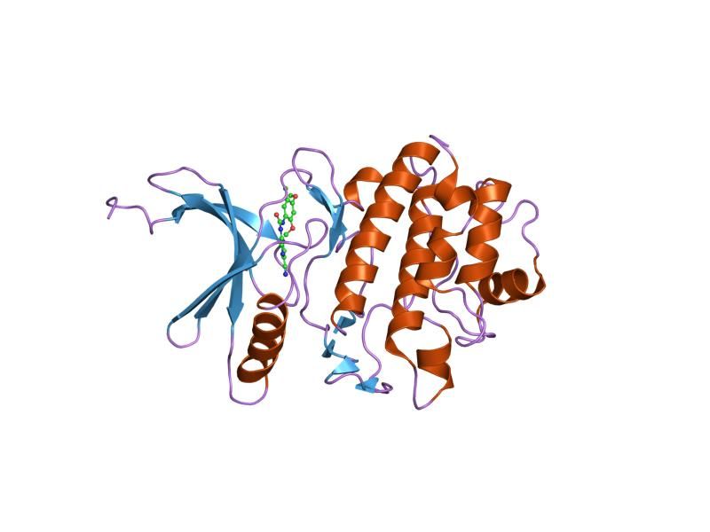 File:PDB 2ywp EBI.jpg