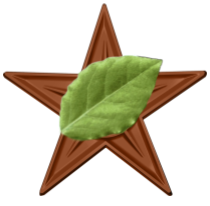 File:PlantBarnstar (1).png