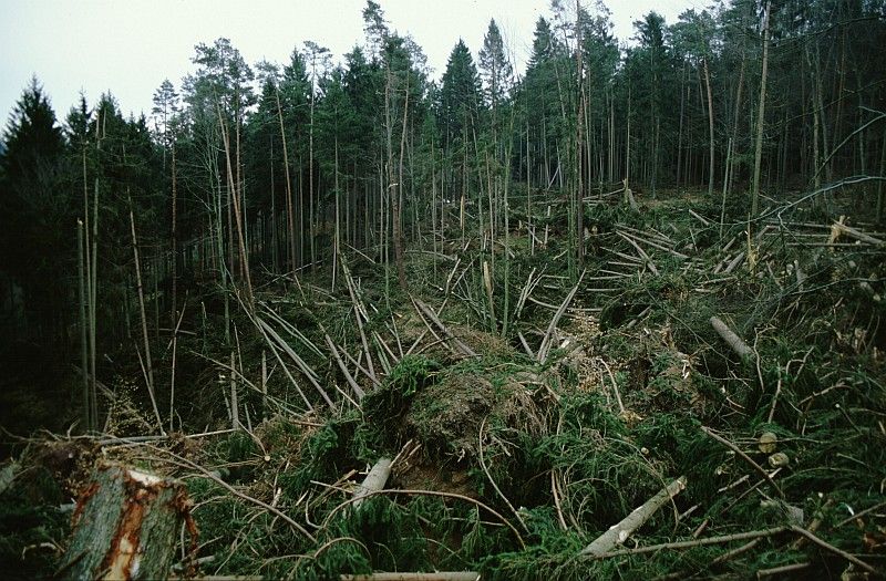 File:SchoenbuchLotharArenbachtal.jpg