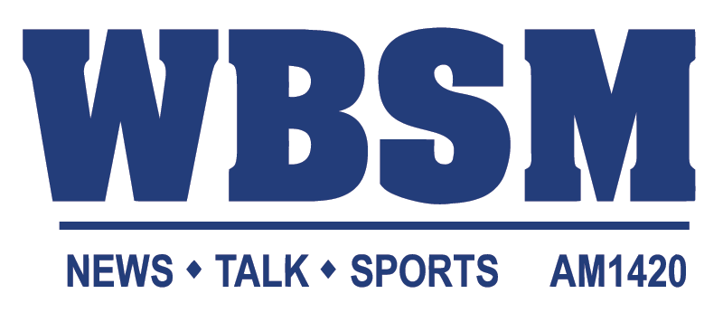 File:WBSM logo.png