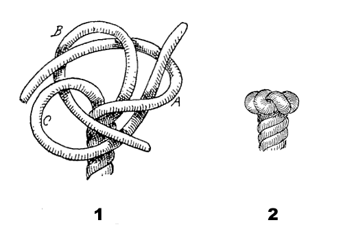 File:Wall knot.png