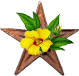 File:Botany Barnstar.png