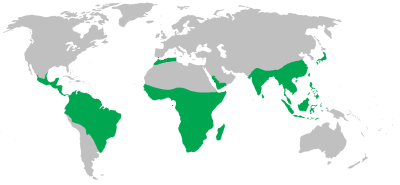 File:Non-human primate range.png