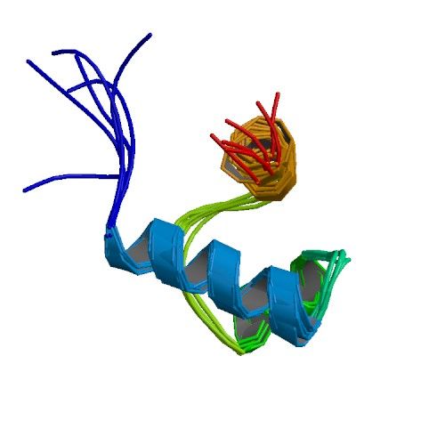 File:PBB Protein TERF1 image.jpg