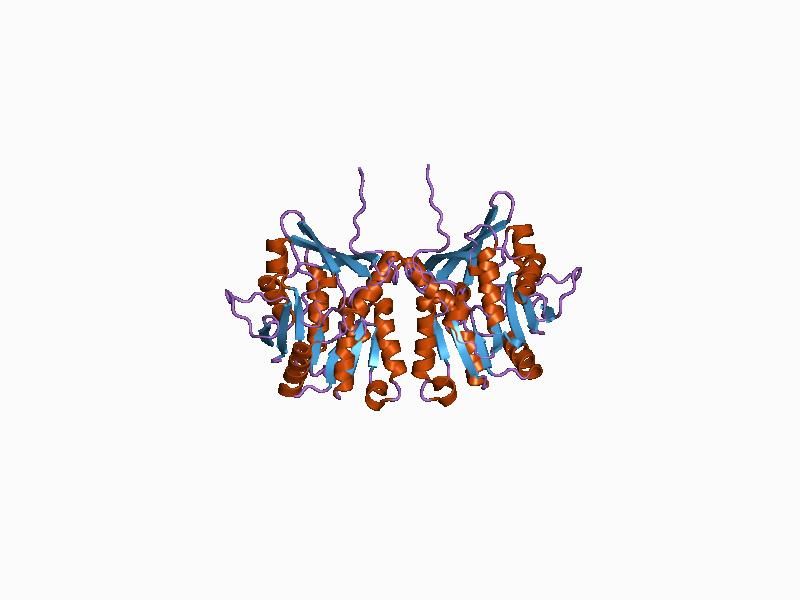 File:PDB 1d2c EBI.jpg