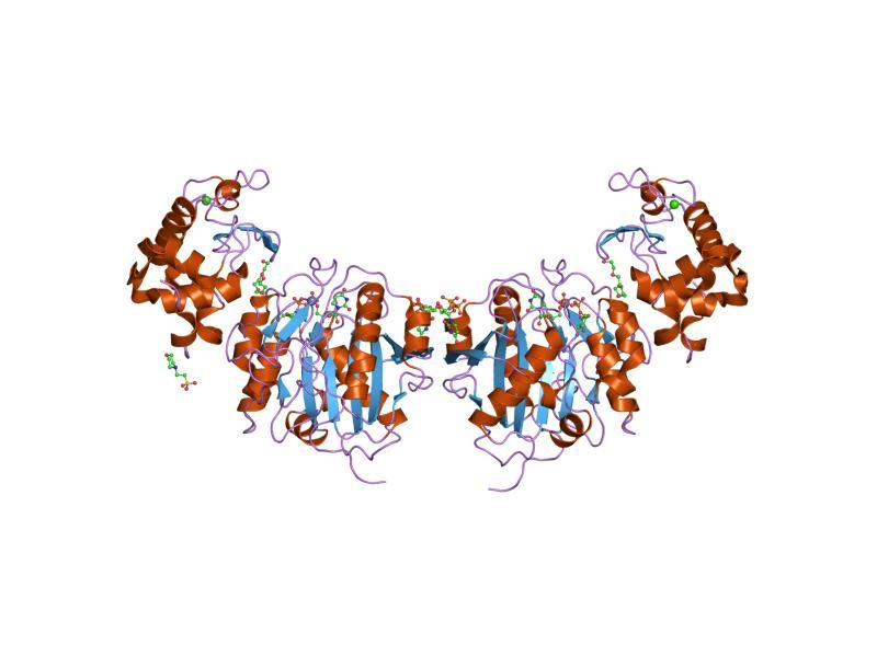 File:PDB 1o23 EBI.jpg