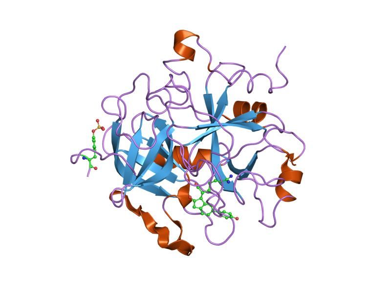 File:PDB 1qj1 EBI.jpg