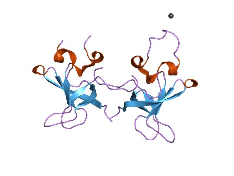 File:PDB 1sn8 EBI.jpg