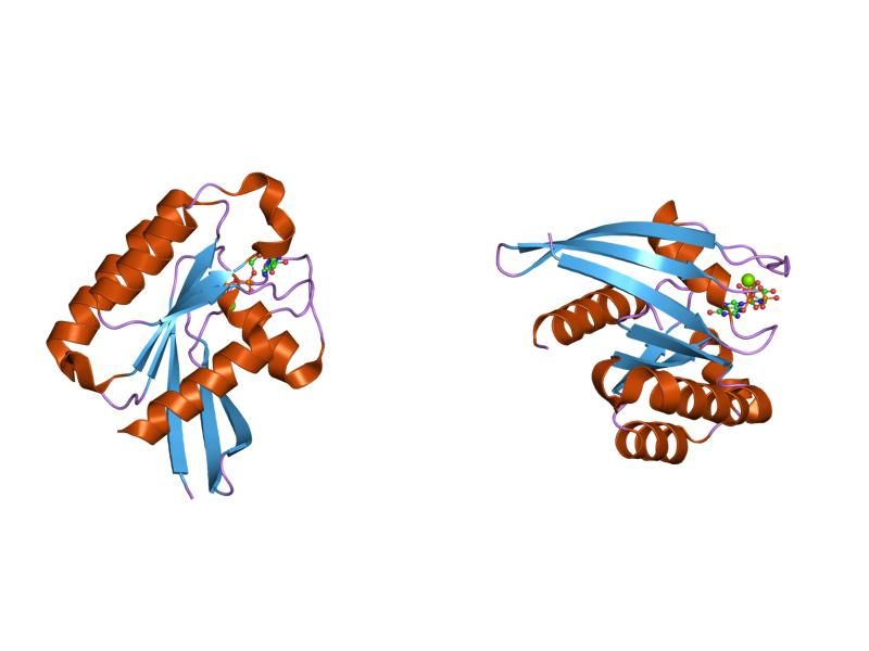 File:PDB 1yzt EBI.jpg