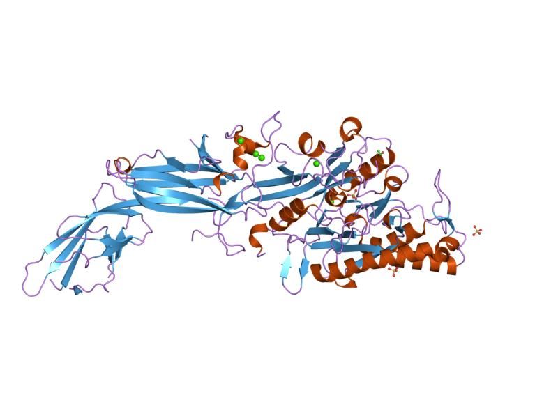 File:PDB 2dey EBI.jpg