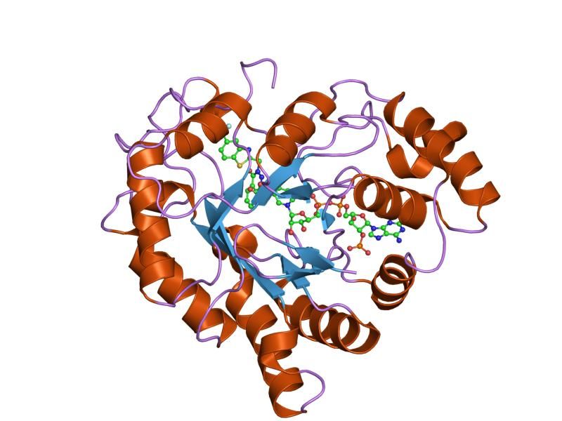 File:PDB 2dv0 EBI.jpg