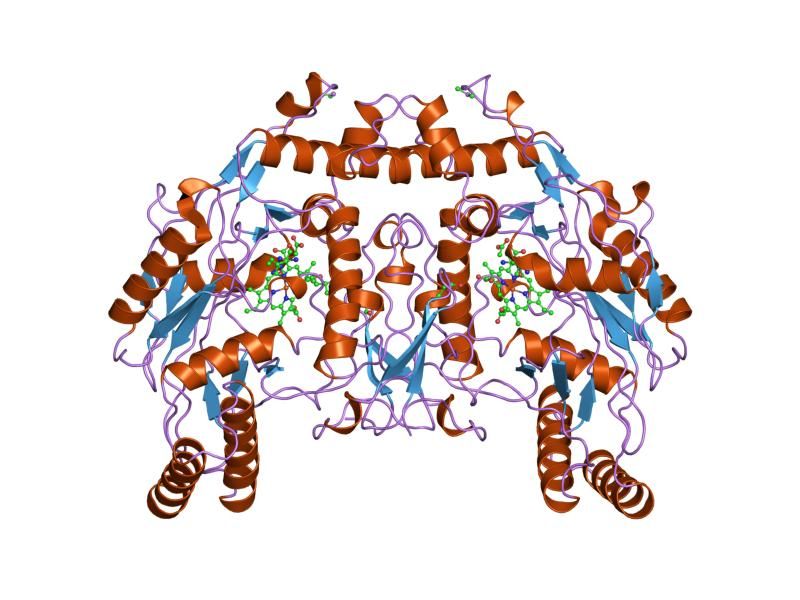 File:PDB 6nse EBI.jpg