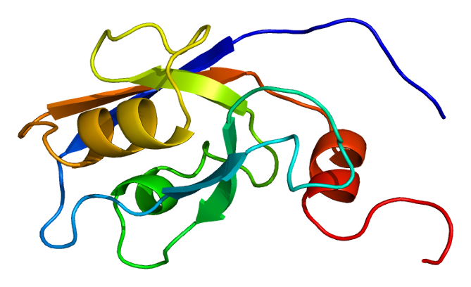 File:Protein FLJ10324 PDB 1um1.png