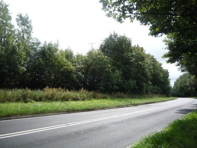 File:Railway Wood (geograph 5890080).jpg