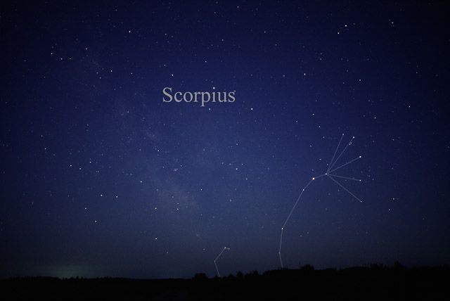 File:ScorpiusCC.jpg