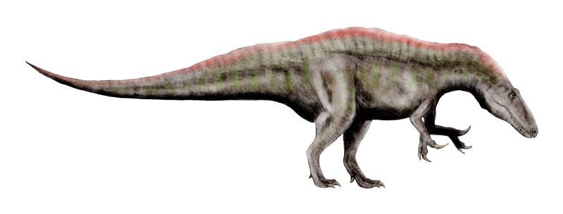 File:Acrocanthosaurus BW.jpg