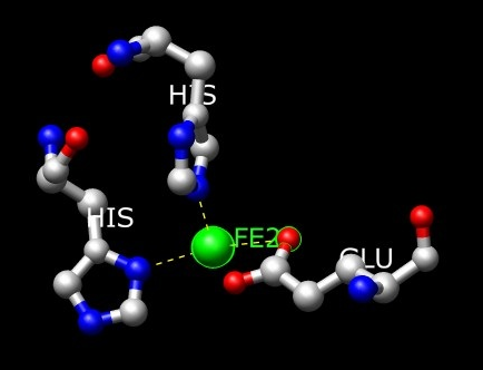 File:Active site2.png