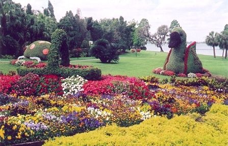 File:Cypress Gardens shaped flora.jpg