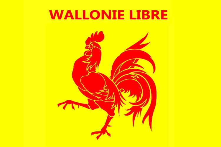 File:Flag of Wallonie Libre.jpg