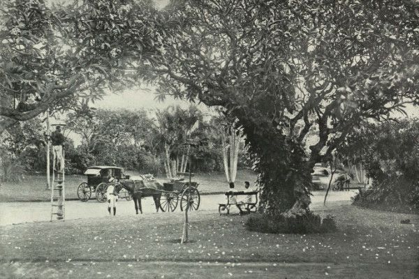 File:Hanging Gardens Malabar Hill.jpg