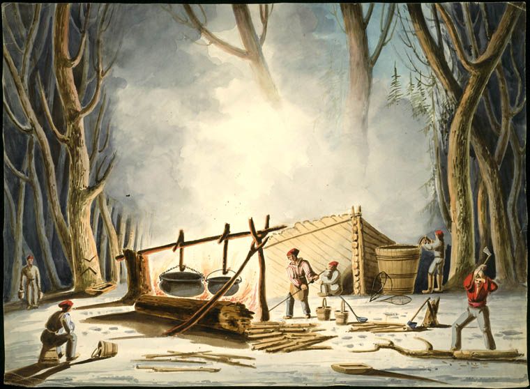 File:Making Maple Sugar, Lower Canada, 1837.jpg