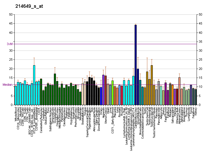 File:PBB GE MTMR2 214649 s at fs.png