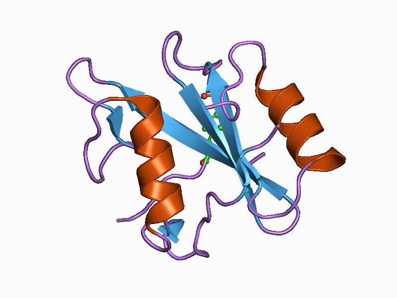 File:PDB 1ayb EBI.jpg