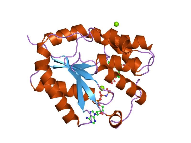 File:PDB 1e2f EBI.jpg