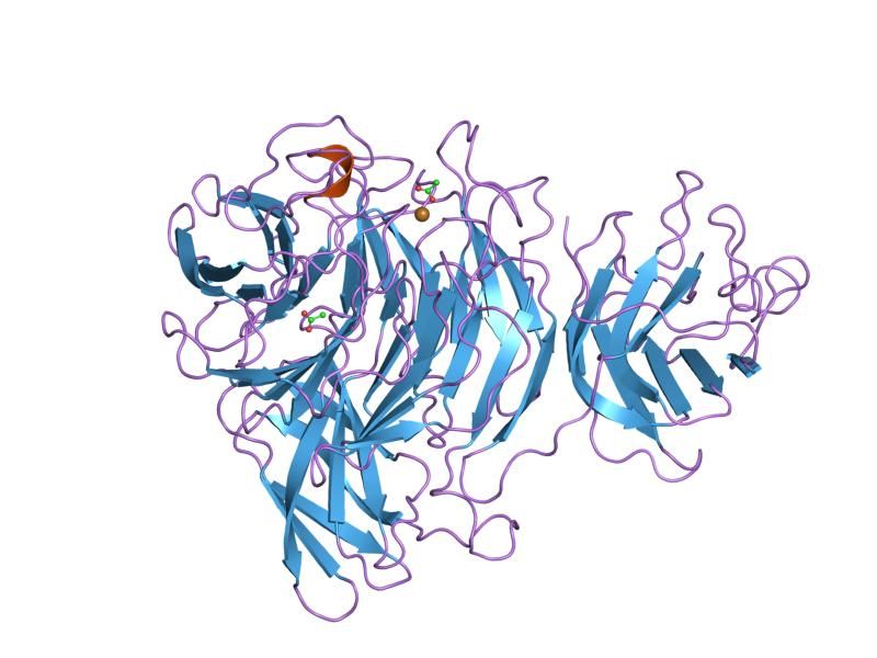 File:PDB 1gof EBI.jpg