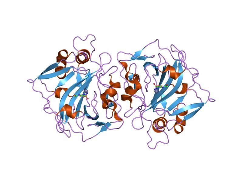 File:PDB 1jd0 EBI.jpg