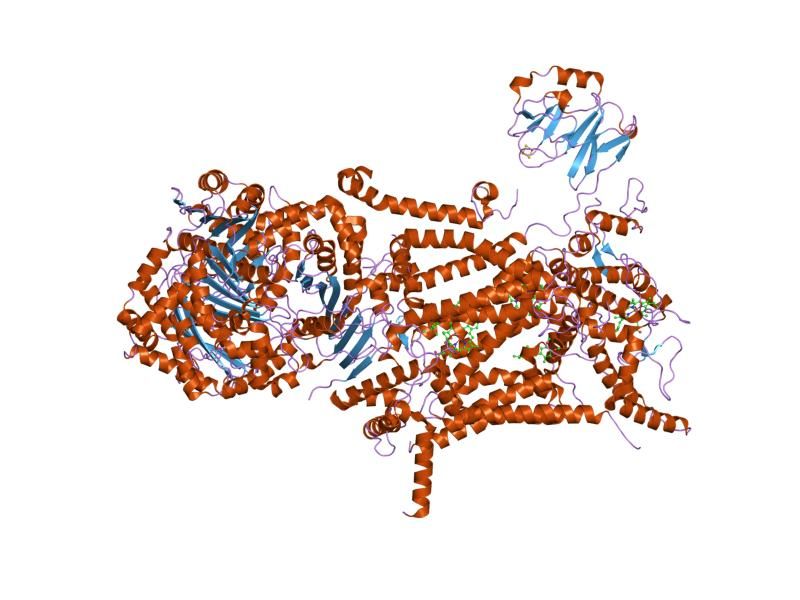 File:PDB 1ntz EBI.jpg