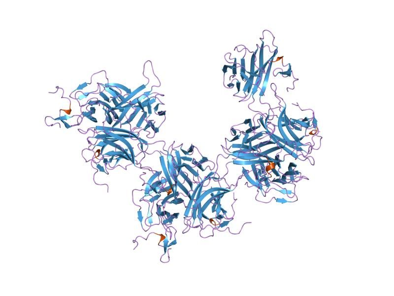 File:PDB 1oqe EBI.jpg