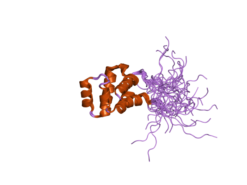 File:PDB 1wxp EBI.png