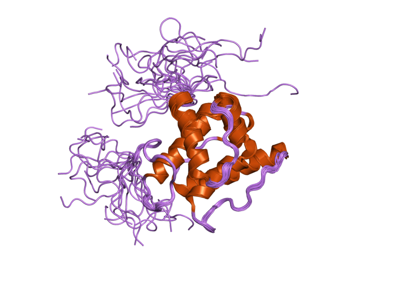 File:PDB 1wym EBI.png