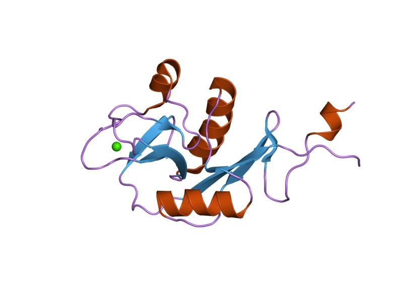 File:PDB 1xph EBI.jpg