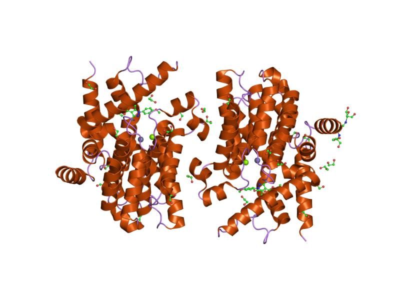 File:PDB 1y2d EBI.jpg