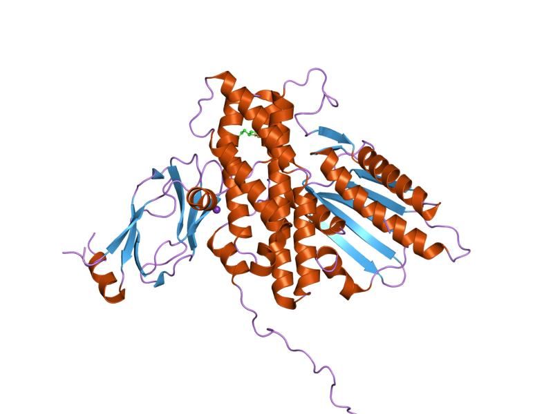 File:PDB 1y8n EBI.jpg